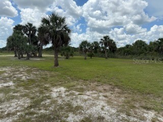 19374 NW 302nd Street Okeechobee FL 34972 OK225505 image24