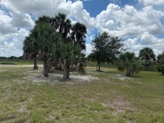 19374 NW 302nd Street Okeechobee FL 34972 OK225505 image26