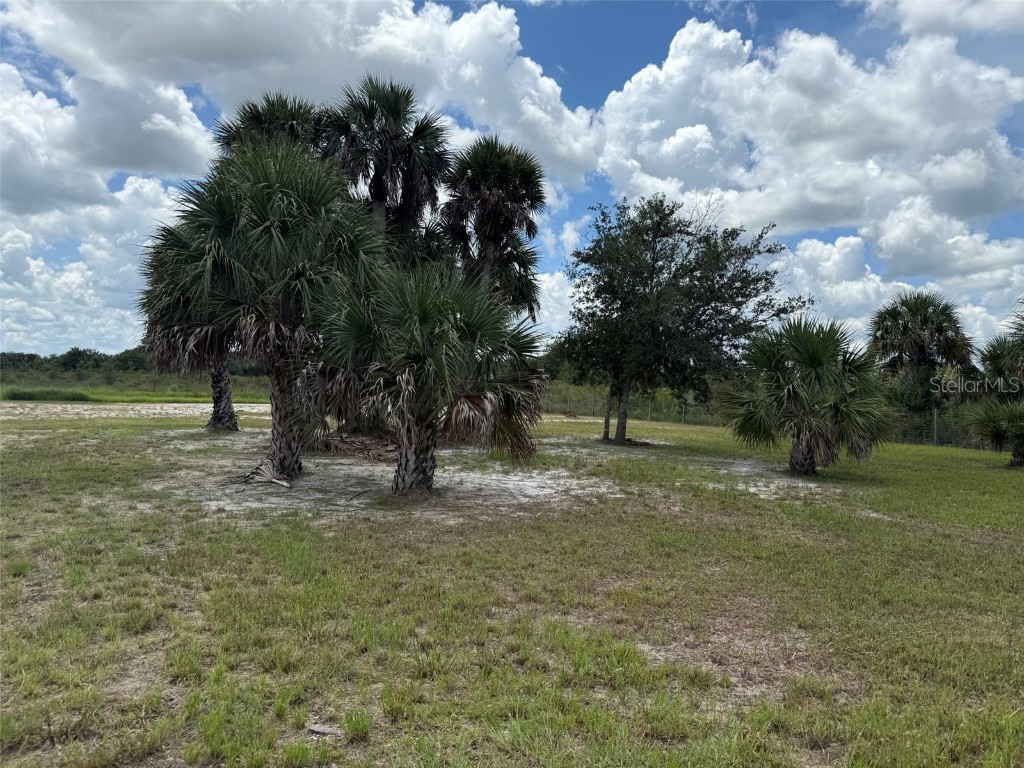 19374 NW 302nd Street Okeechobee FL 34972 OK225505 image43