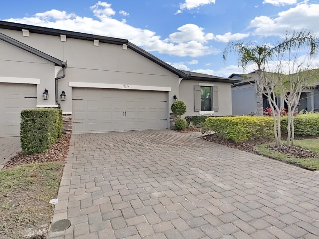 19377 Hawk Valley Dr Tampa FL 33647 T3430343 image1