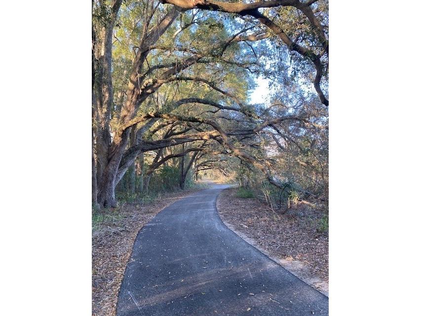 19379 SW 21st Place Newberry FL 32669 GC524440 image16