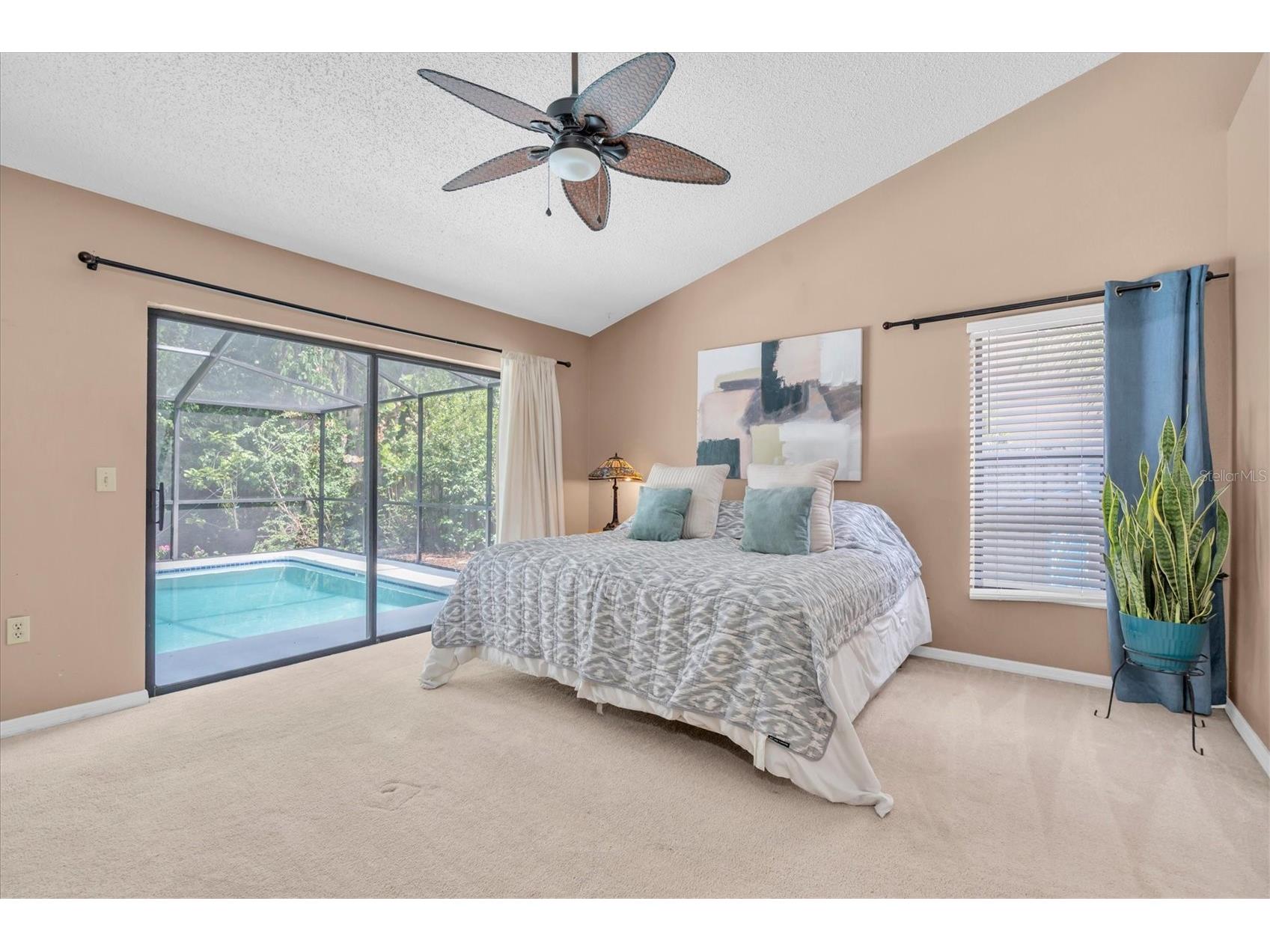 1938 Wood Thrush Street Tarpon Springs FL 34689 W7885189 image17