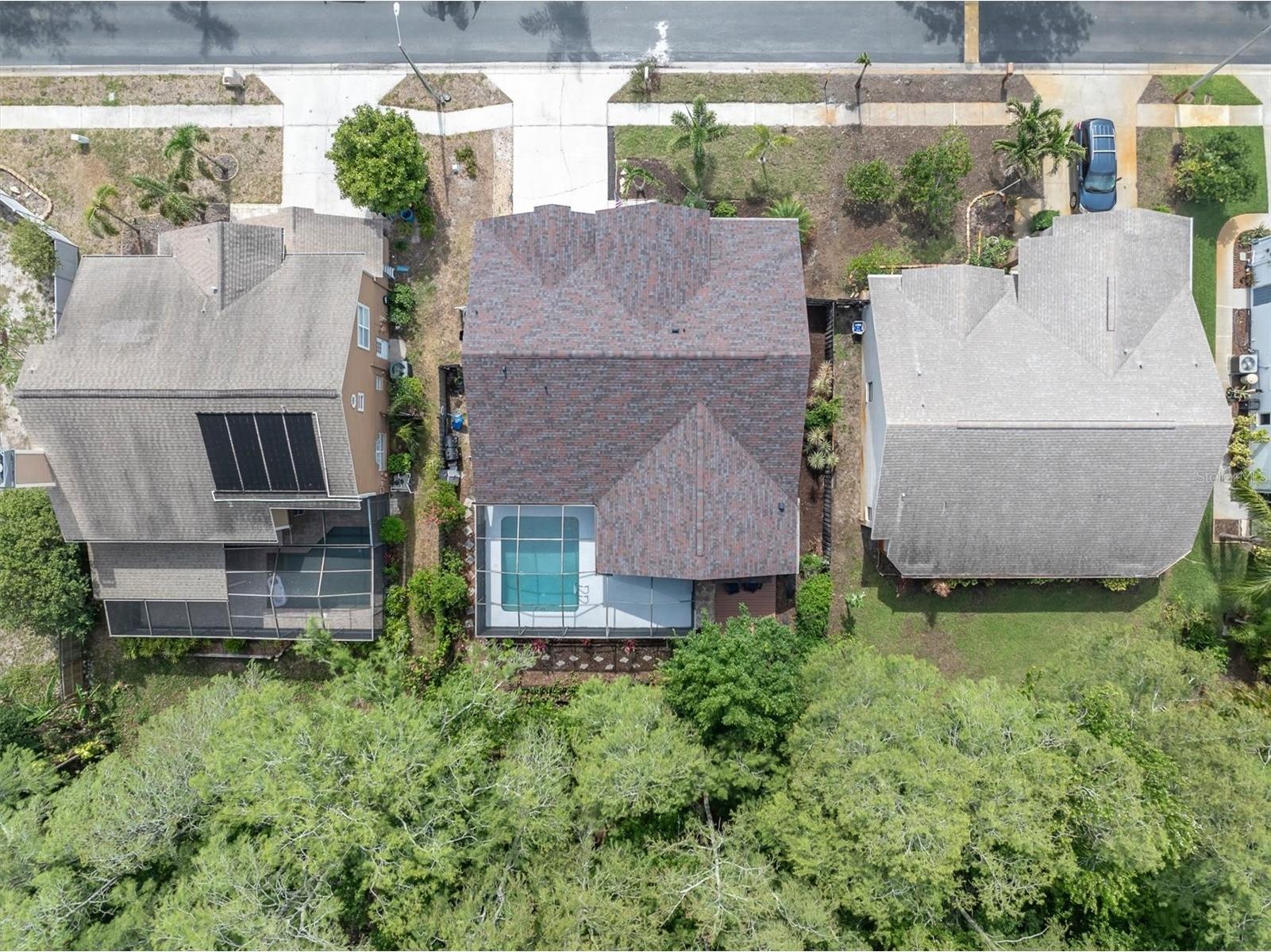 1938 Wood Thrush Street Tarpon Springs FL 34689 W7885189 image2