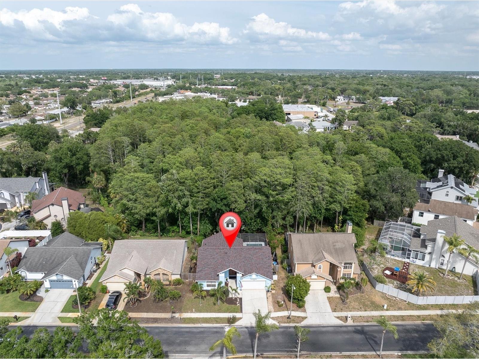 1938 Wood Thrush Street Tarpon Springs FL 34689 W7885189 image21