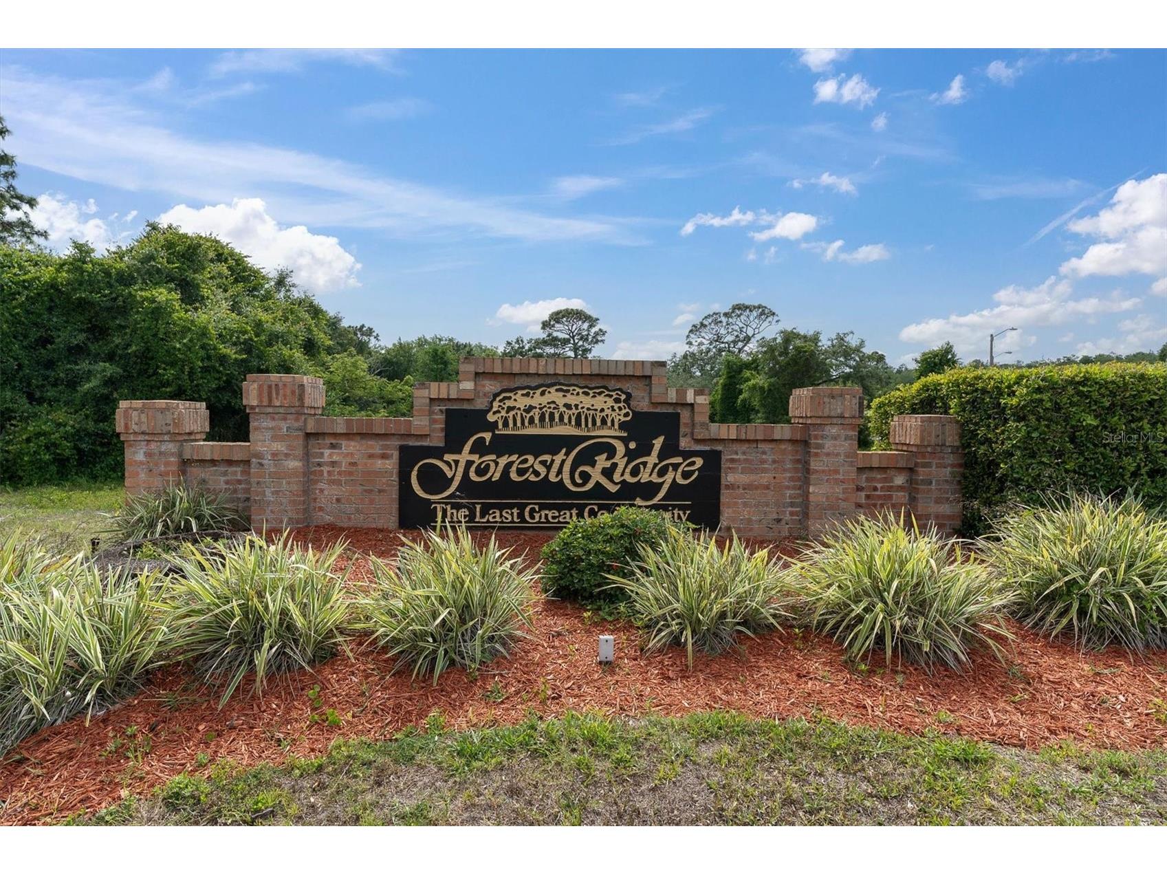 1938 Wood Thrush Street Tarpon Springs FL 34689 W7885189 image25