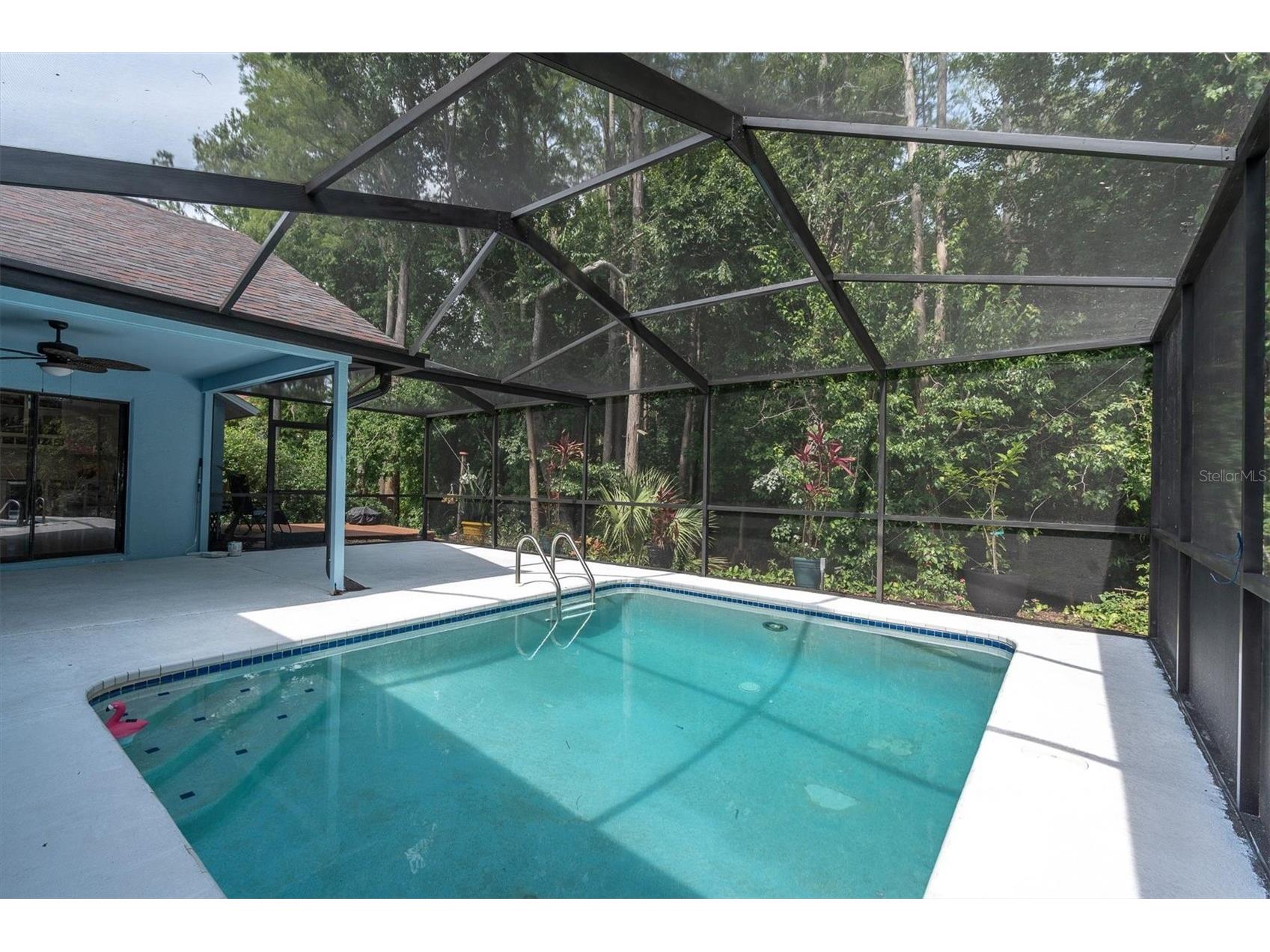 1938 Wood Thrush Street Tarpon Springs FL 34689 W7885189 image3