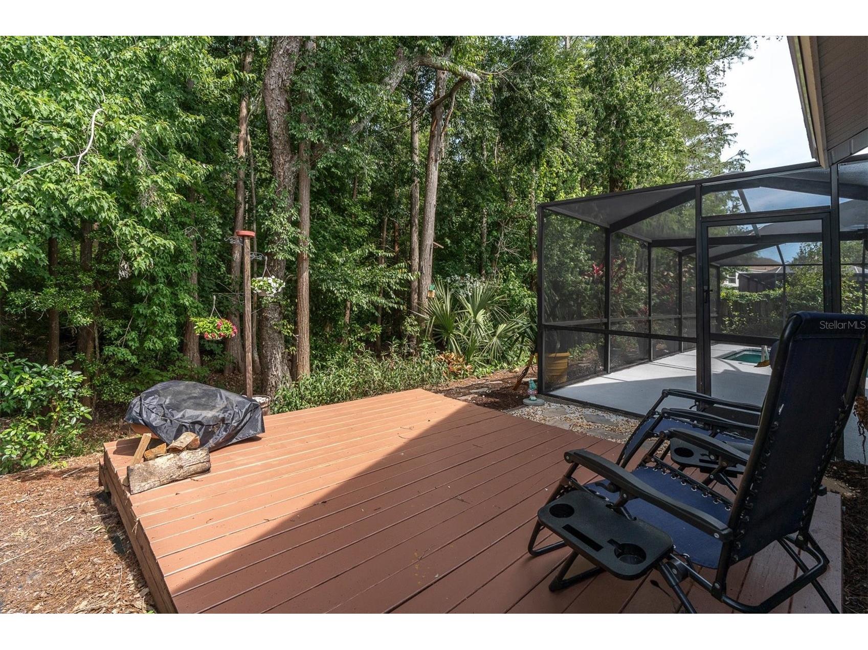 1938 Wood Thrush Street Tarpon Springs FL 34689 W7885189 image34