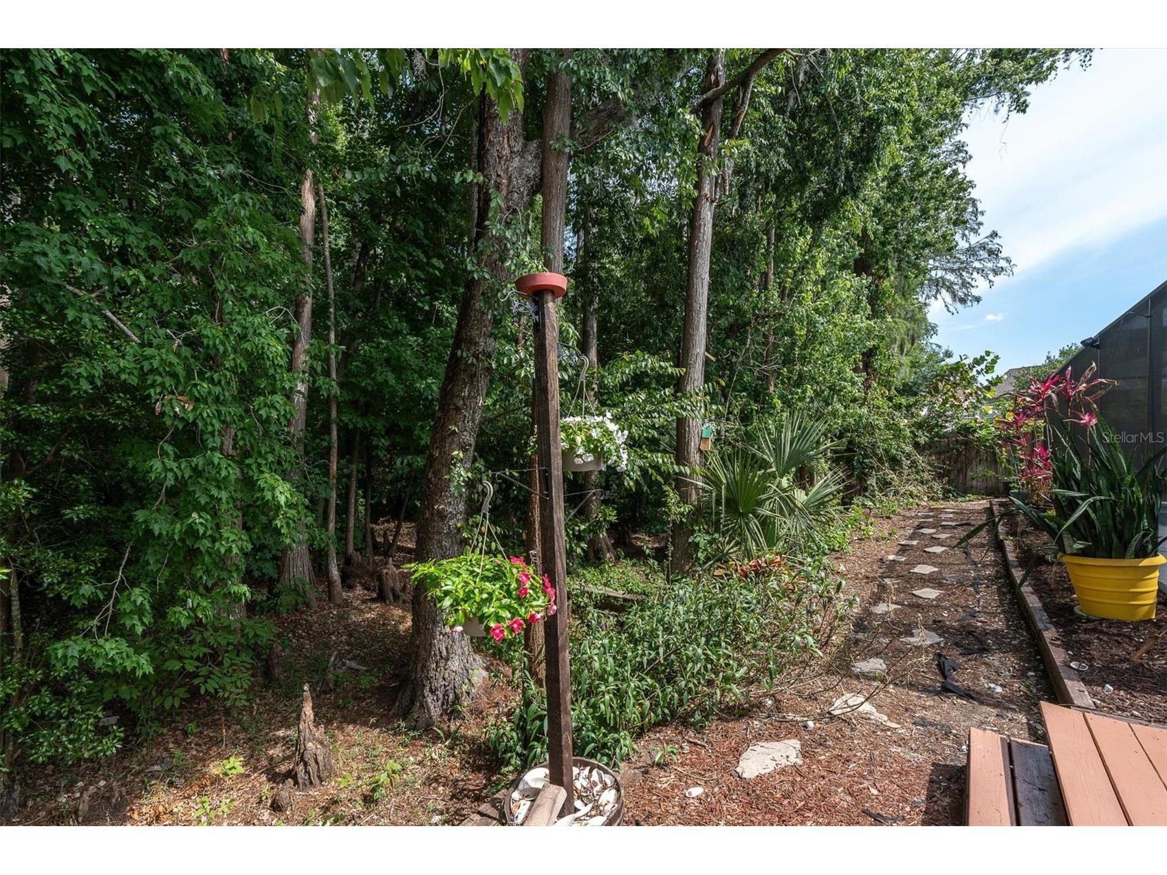 1938 Wood Thrush Street Tarpon Springs FL 34689 W7885189 image35
