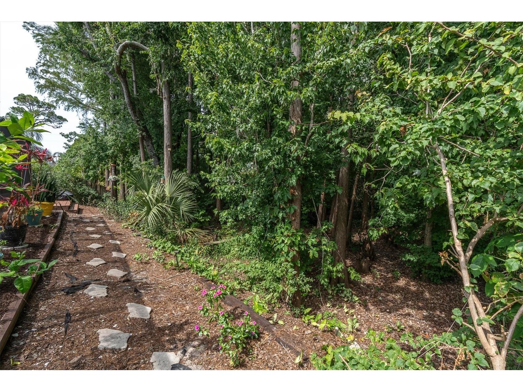 1938 Wood Thrush Street Tarpon Springs FL 34689 W7885189 image38