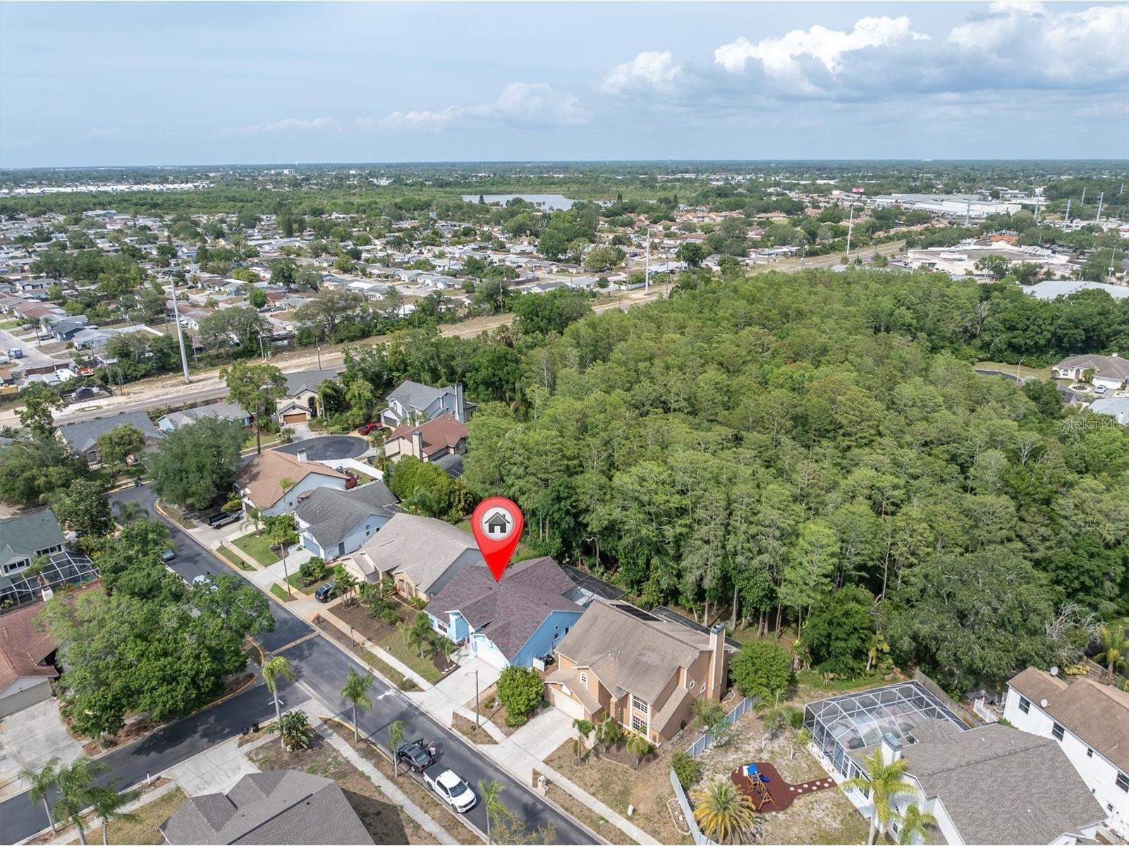 1938 Wood Thrush Street Tarpon Springs FL 34689 W7885189 image40