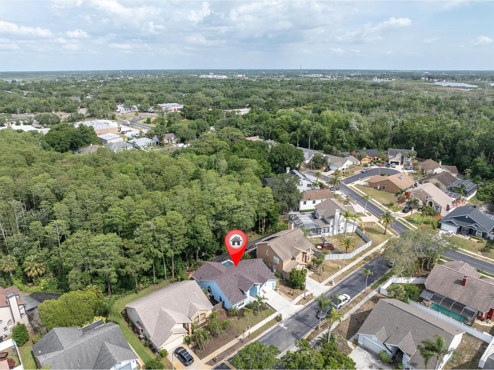 1938 Wood Thrush Street Tarpon Springs FL 34689 W7885189 image41