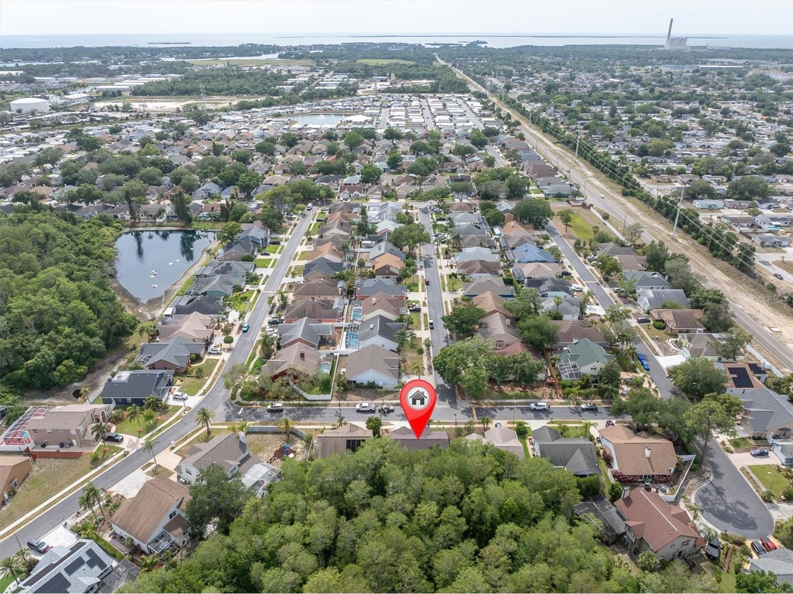 1938 Wood Thrush Street Tarpon Springs FL 34689 W7885189 image42