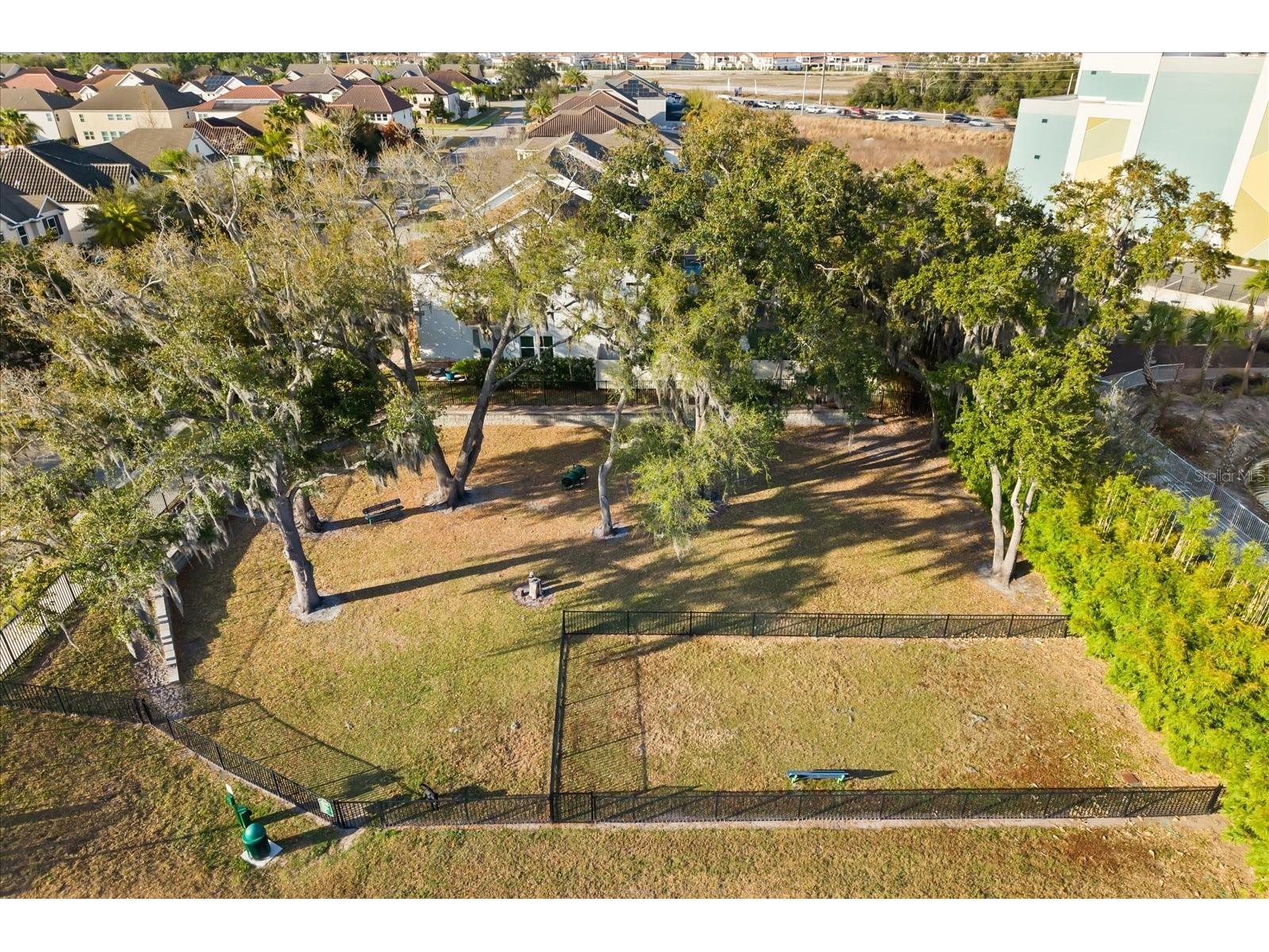 19385 Pummelo Drive Orlando FL 32827 O6384893 image27