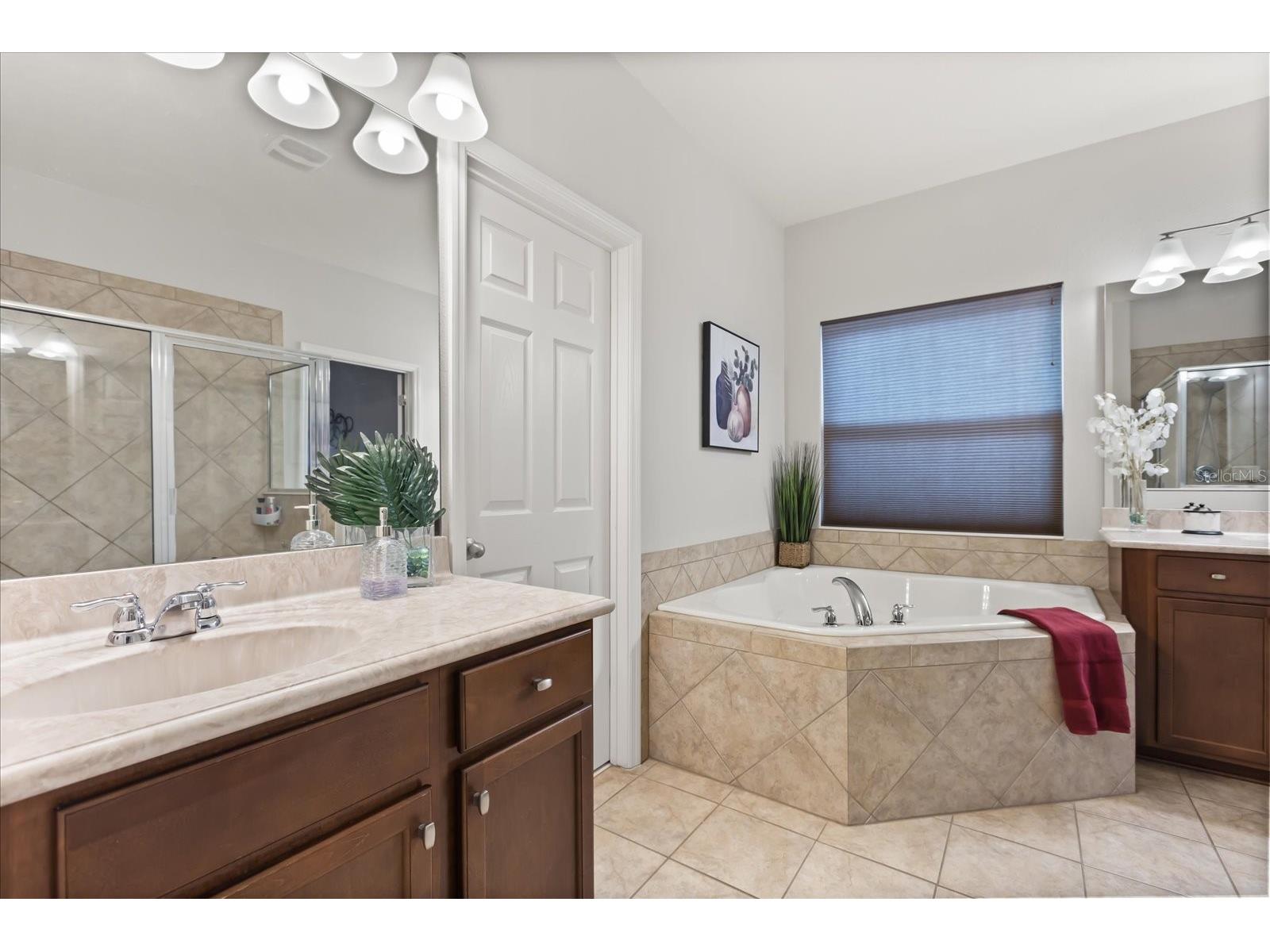 19385 Pummelo Drive Orlando FL 32827 O6384893 image8