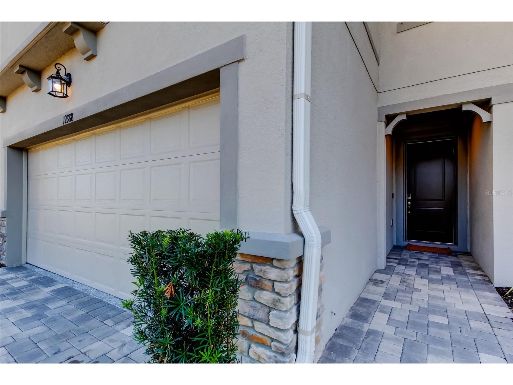 19388 Great Intention Way Lutz FL 33558 TB8495312 image2