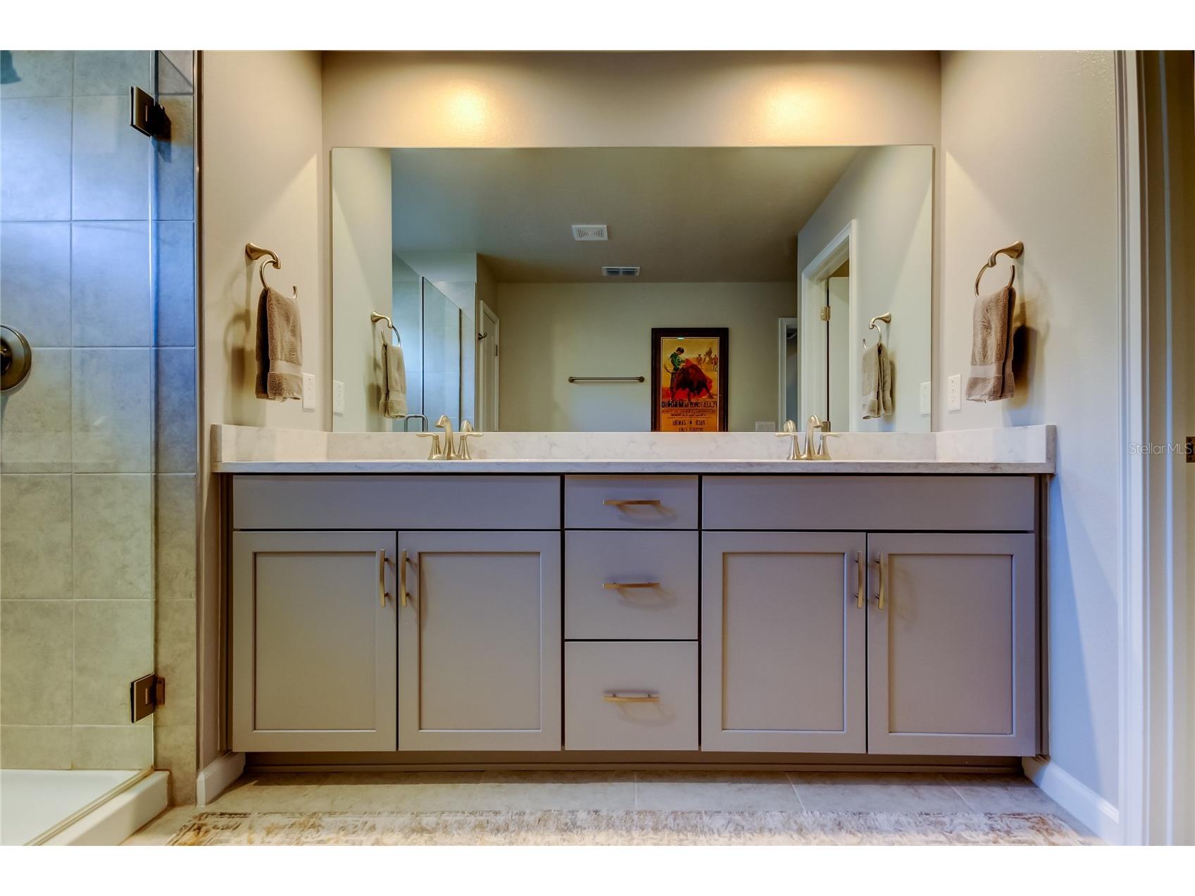 19388 Great Intention Way Lutz FL 33558 TB8495312 image40
