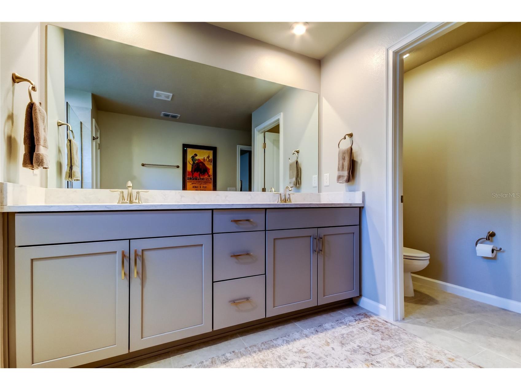 19388 Great Intention Way Lutz FL 33558 TB8495312 image41