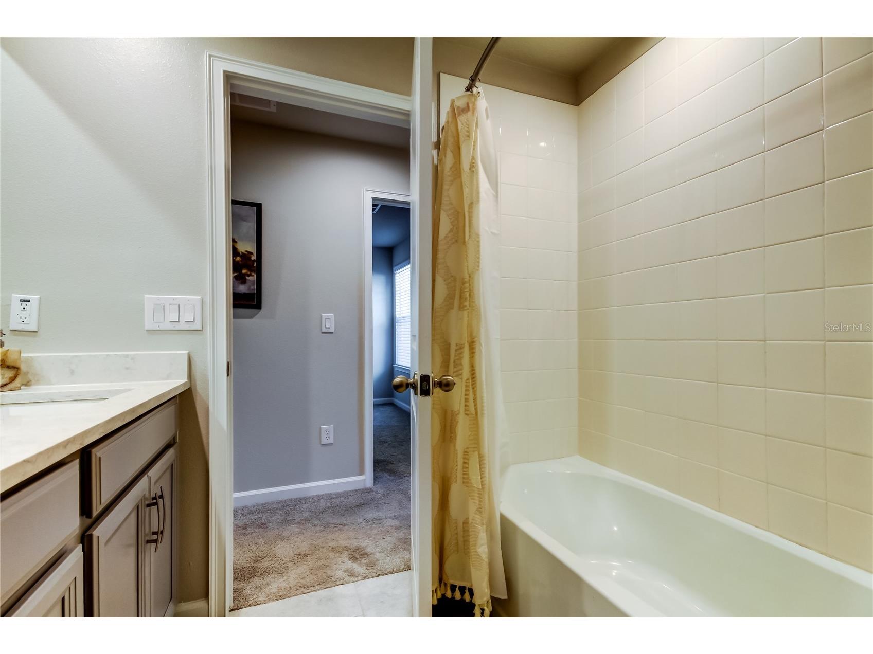 19388 Great Intention Way Lutz FL 33558 TB8495312 image51