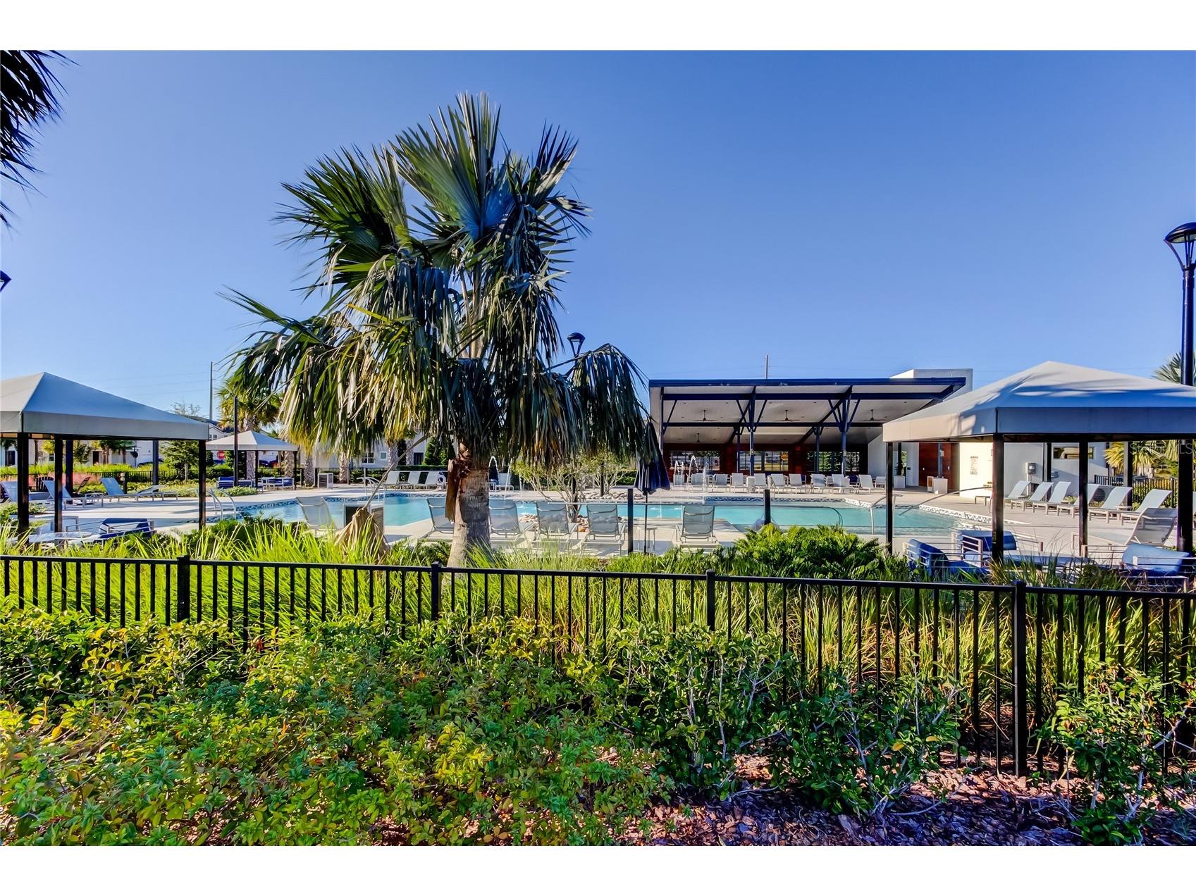19388 Great Intention Way Lutz FL 33558 TB8495312 image60