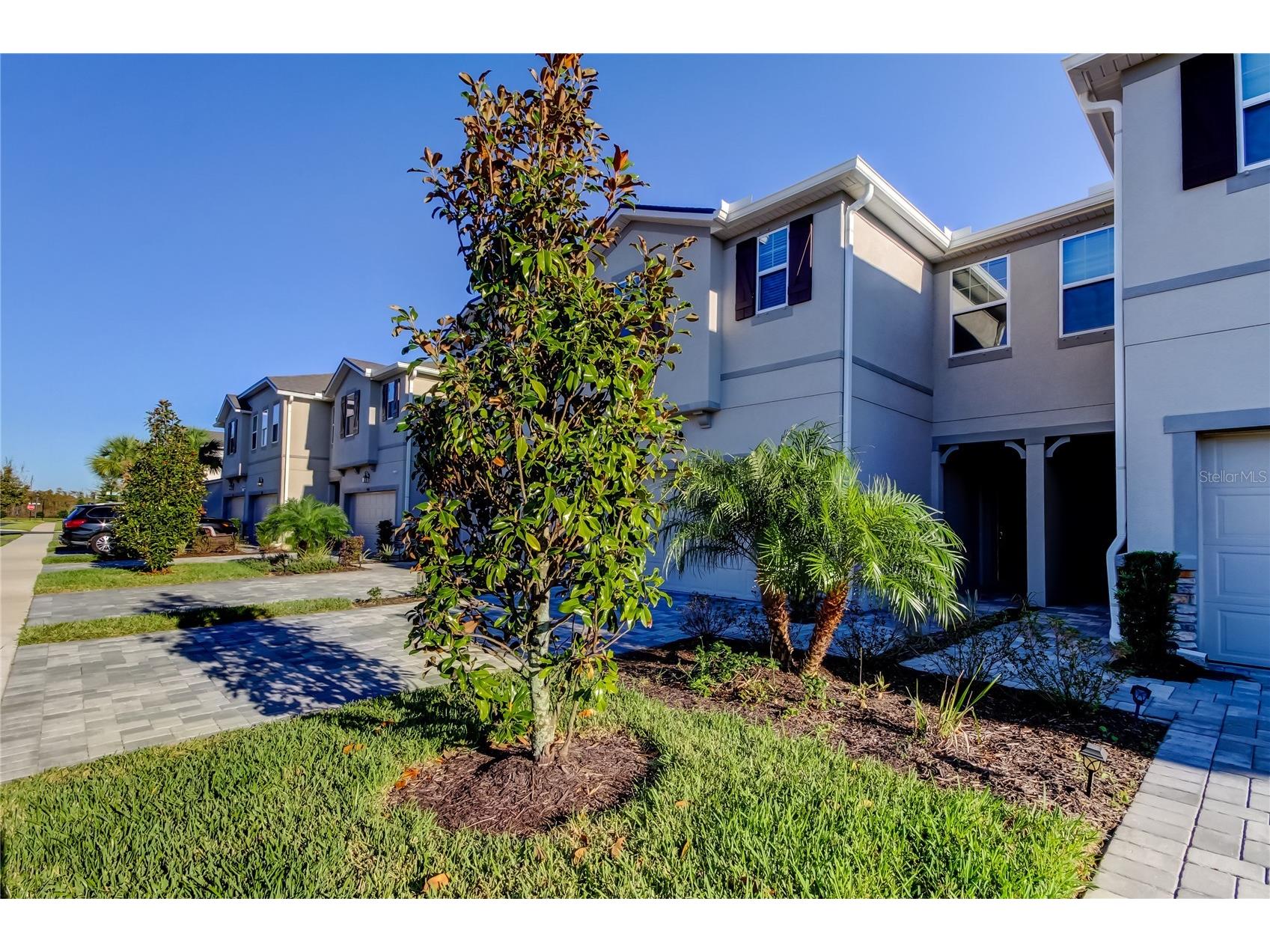 19388 Great Intention Way Lutz FL 33558 TB8495312 image70