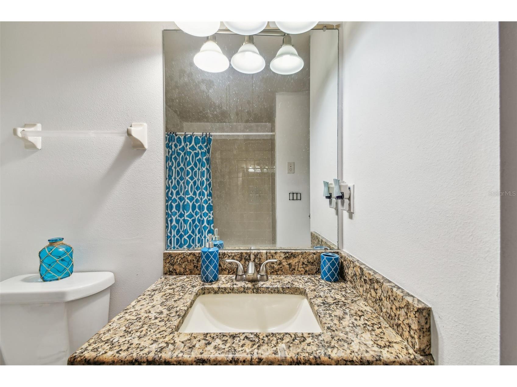 1939 Heartland Circle Valrico FL 33594 TB8378393 image32