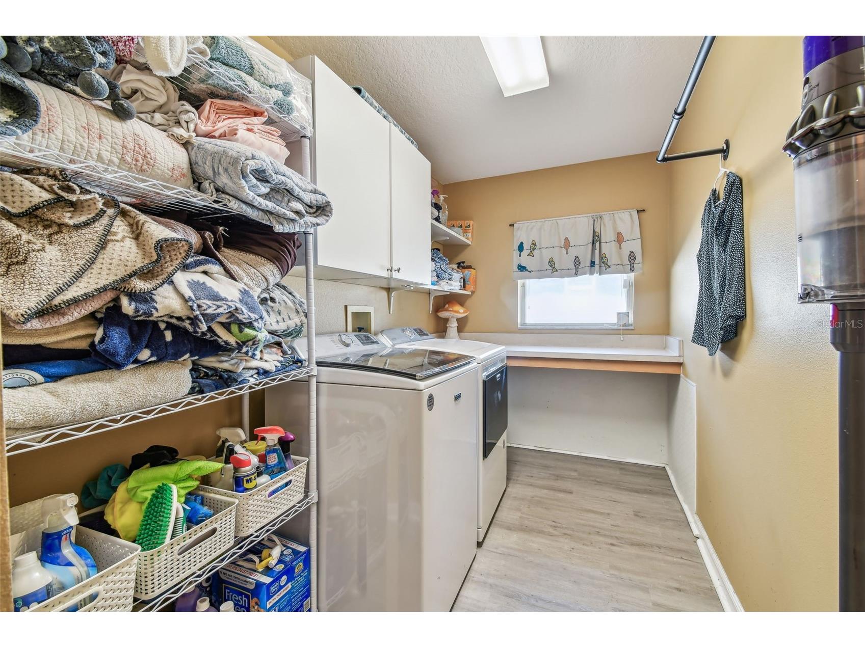 1939 Heartland Circle Valrico FL 33594 TB8378393 image39