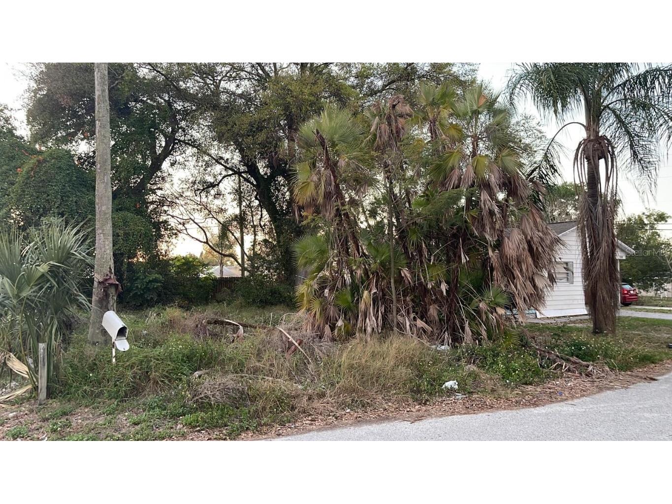 1939 Rally Lane Holiday FL 34690 W7852815 image1