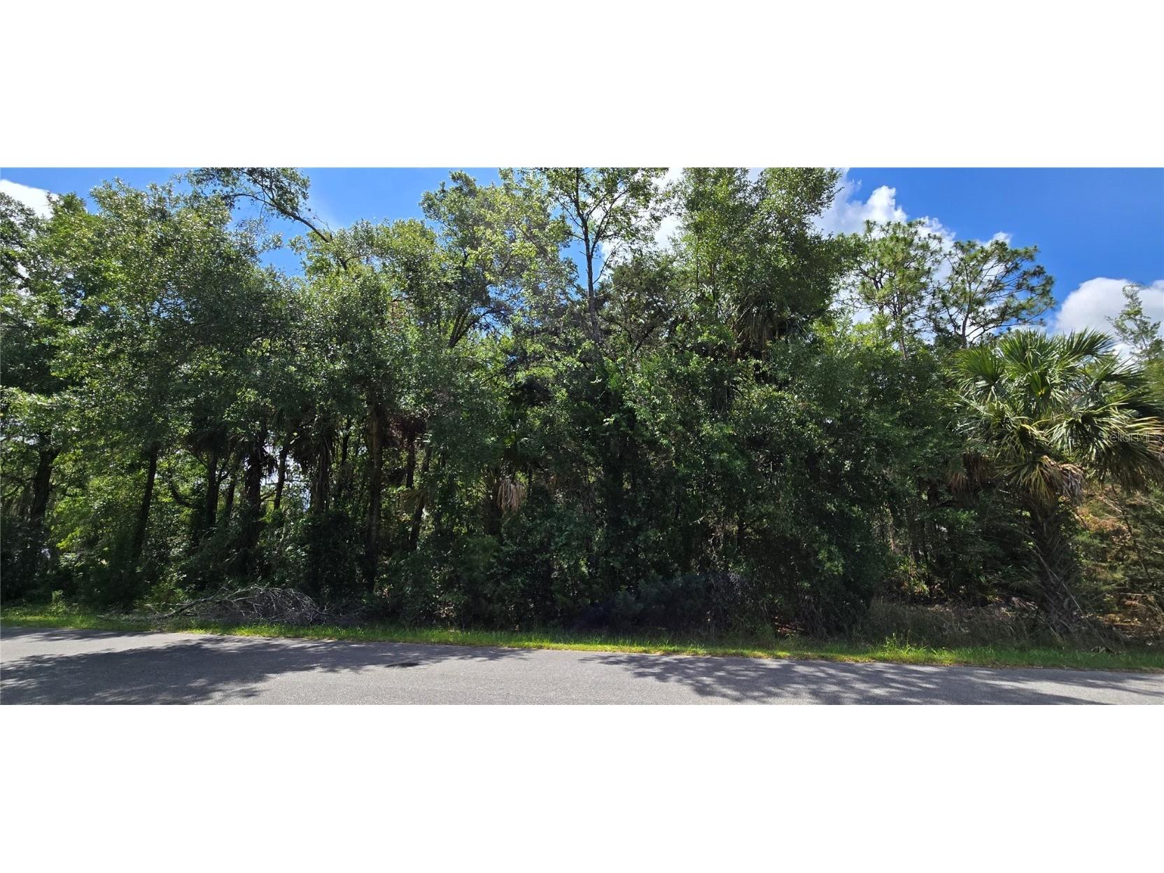 1939 S Melanie Drive Homosassa FL 34448 W7876656 image1