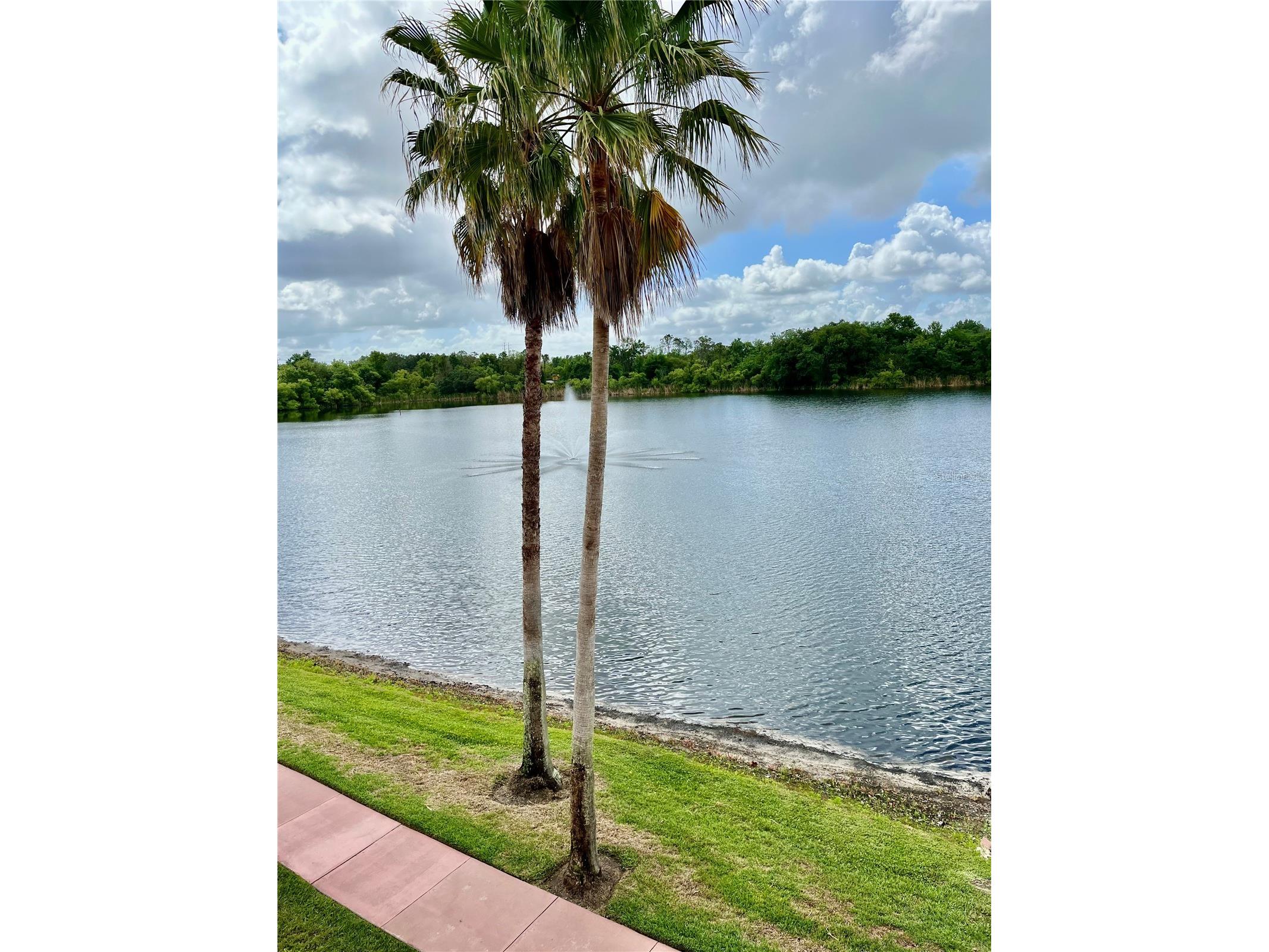 1939 Summer Club Apt Drive #315 Oviedo FL 32765 O6421991 image29