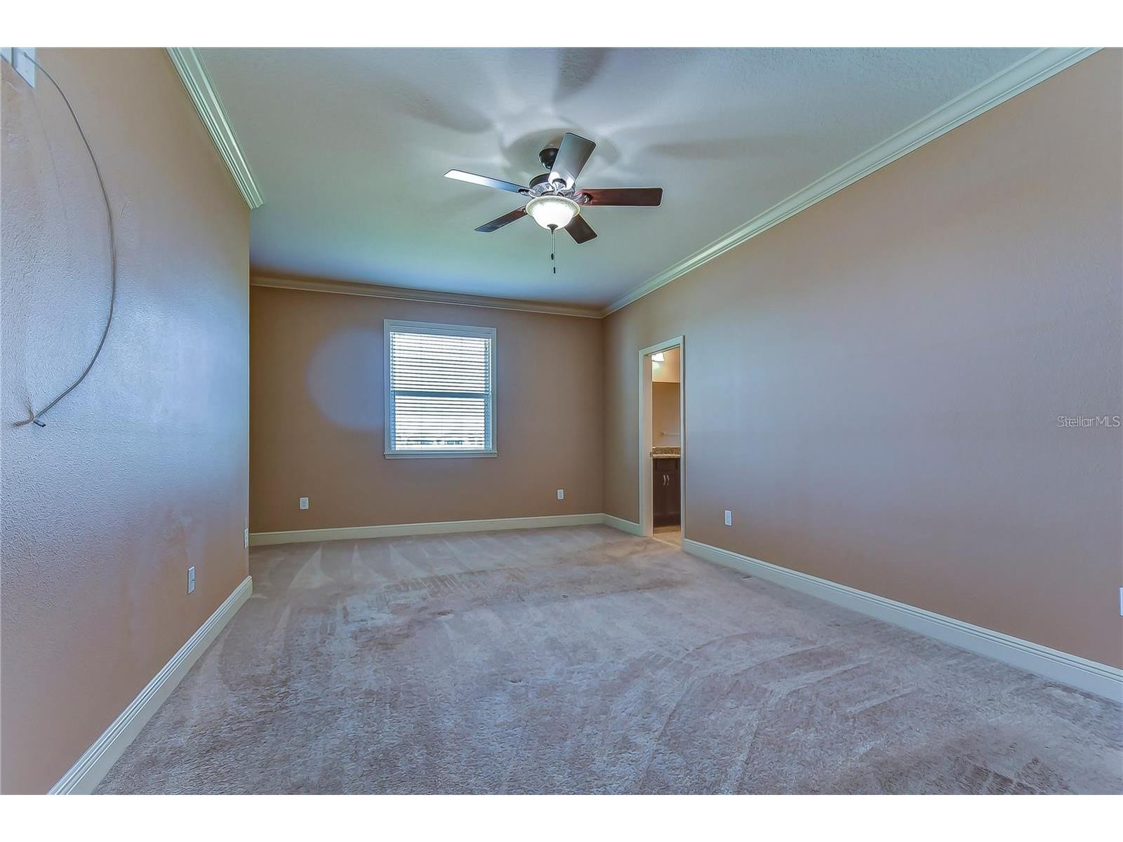 19391 Long Lake Ranch Boulevard Lutz FL 33558 TB8500014 image13