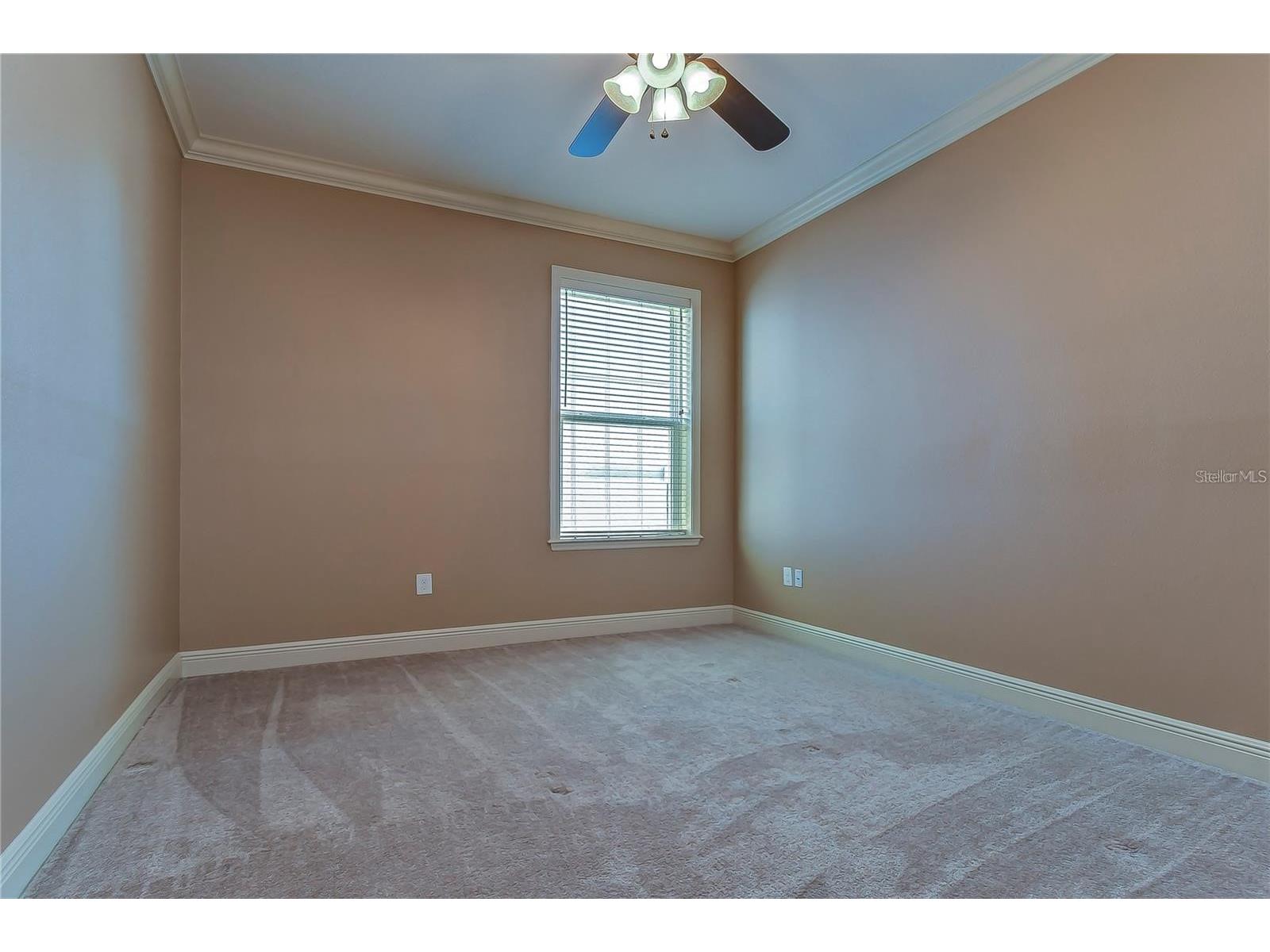 19391 Long Lake Ranch Boulevard Lutz FL 33558 TB8500014 image15