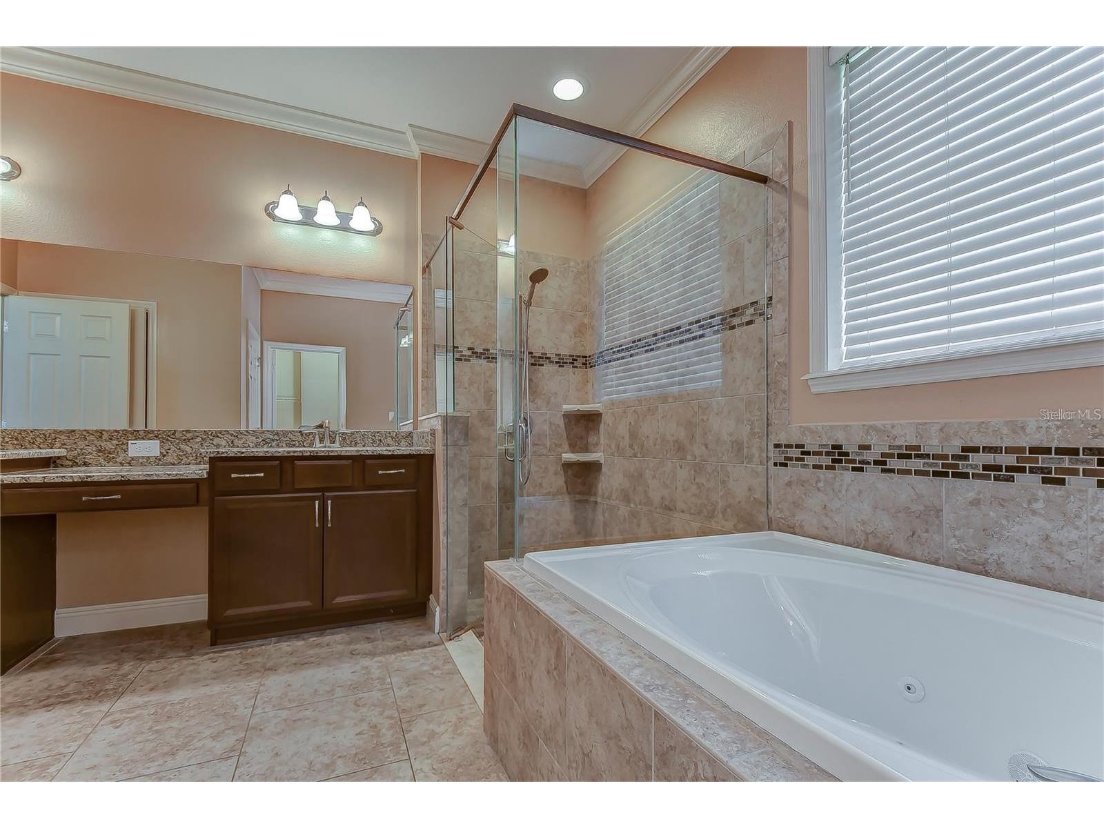 19391 Long Lake Ranch Boulevard Lutz FL 33558 TB8500014 image21