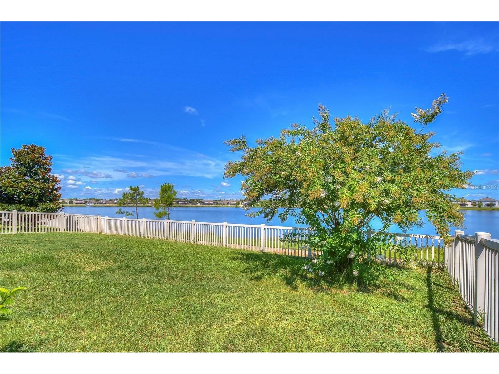 19391 Long Lake Ranch Boulevard Lutz FL 33558 TB8500014 image32