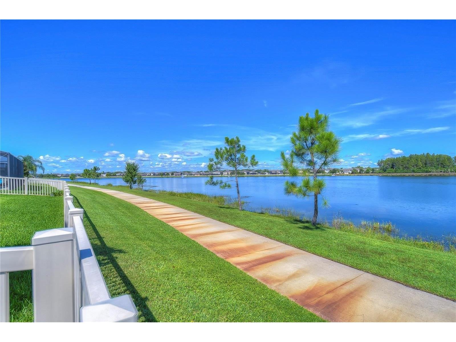 19391 Long Lake Ranch Boulevard Lutz FL 33558 TB8500014 image33