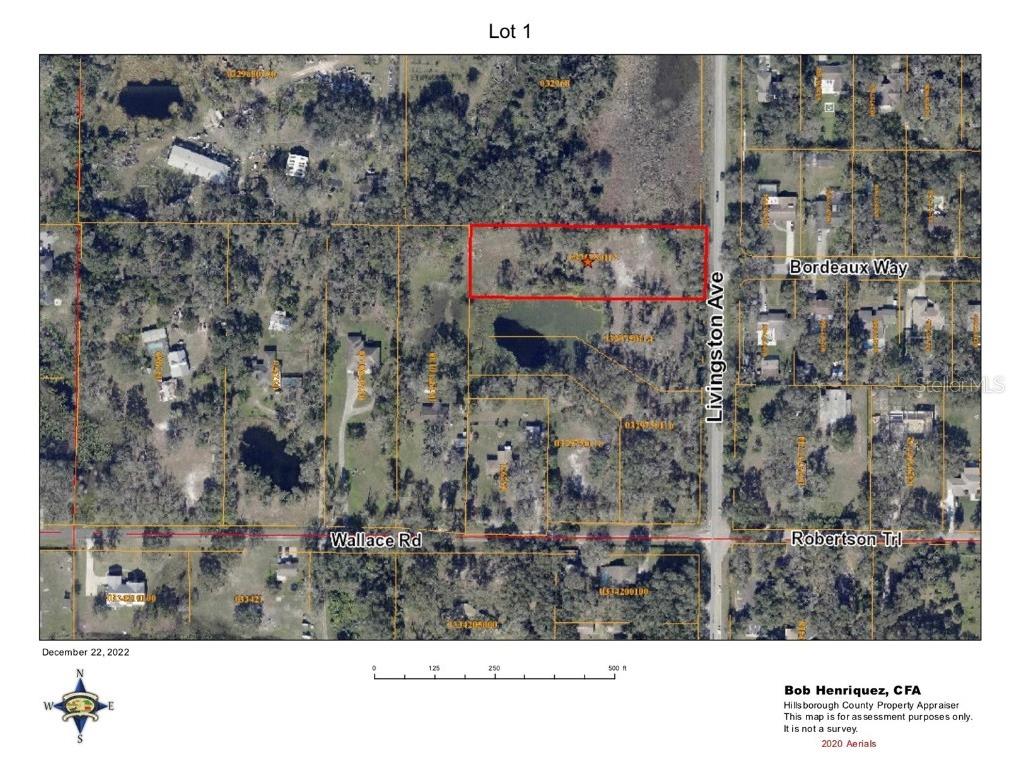 19392 Livingston Avenue Lutz FL 33549 T3419545 image1