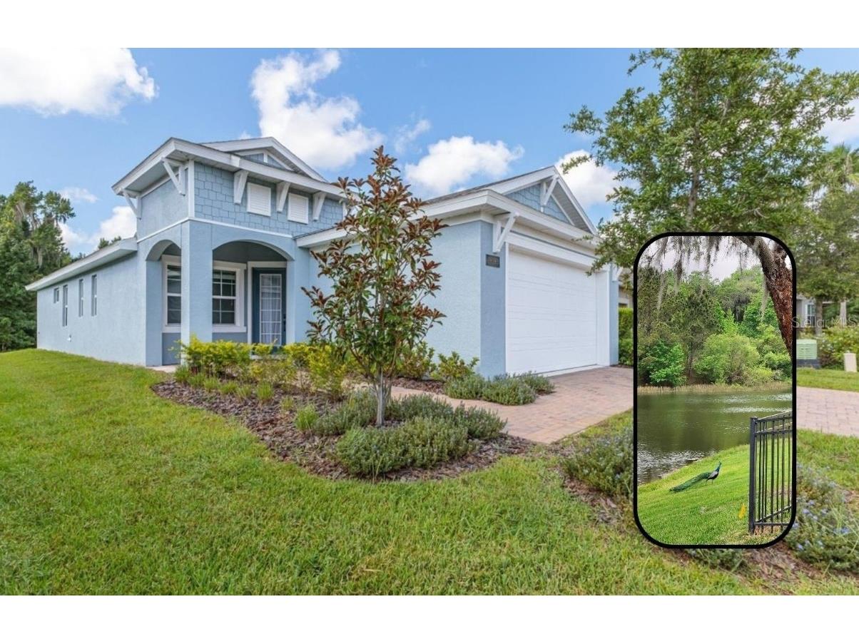 19393 Fort King Run Brooksville FL 34601 W7868220 image1