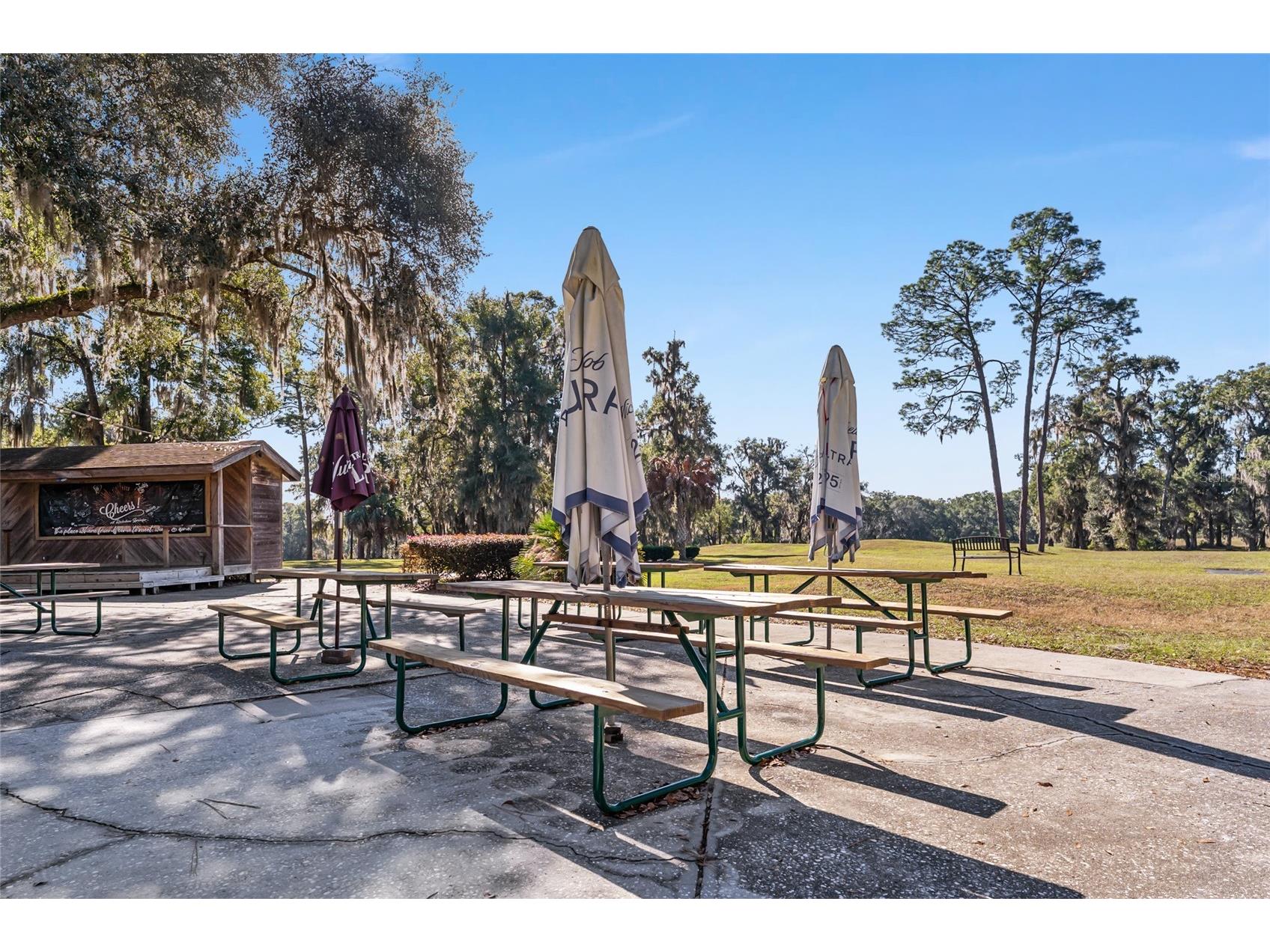 19396 SW 101st Place Road Dunnellon FL 34432 OM717110 image26