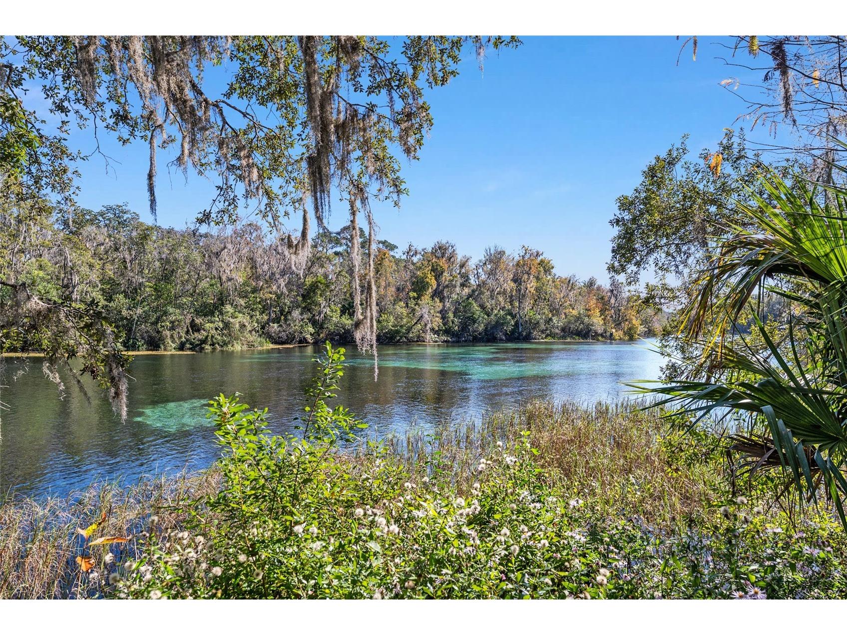 19396 SW 101st Place Road Dunnellon FL 34432 OM717110 image33
