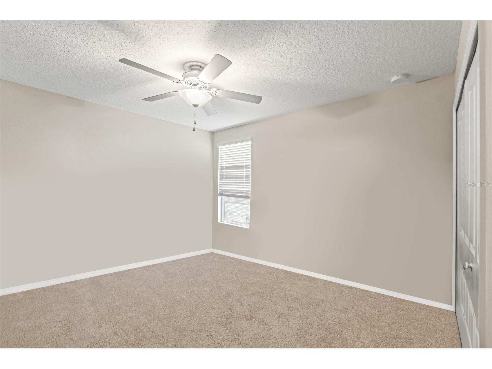 194 Argyll Drive Spring Hill FL 34609 TB8513080 image60