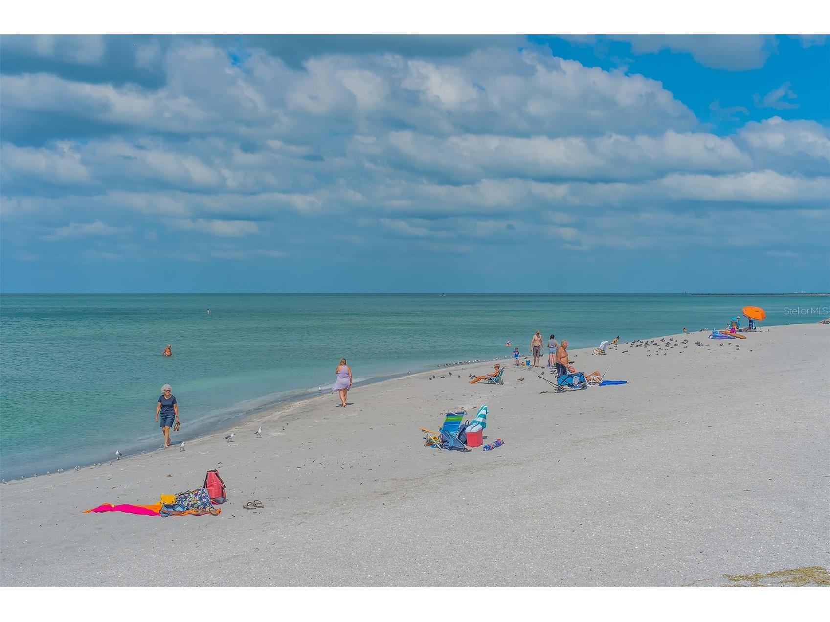 194 Cipriani Way North Venice FL 34275 N6143266 image81