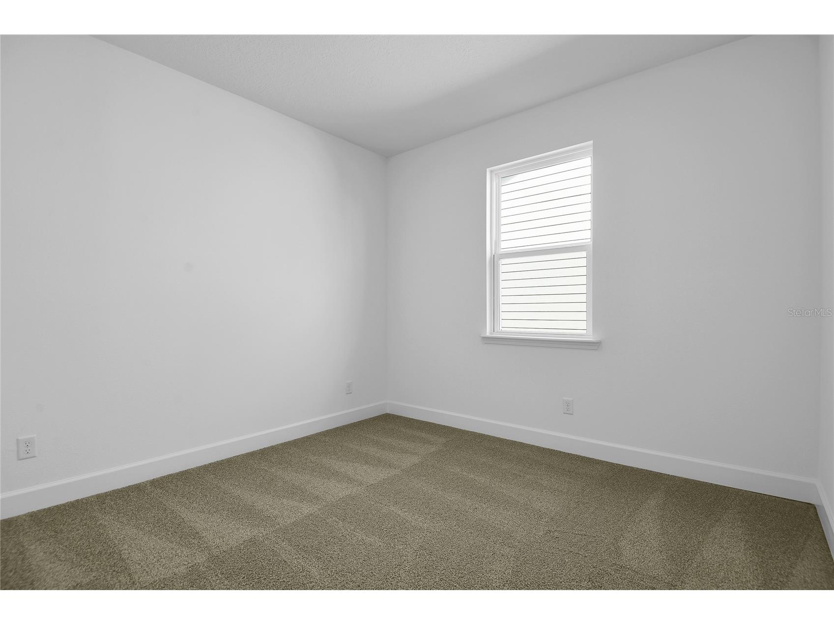 194 Enclave Avenue Palm Coast FL 32164 S5139800 image7