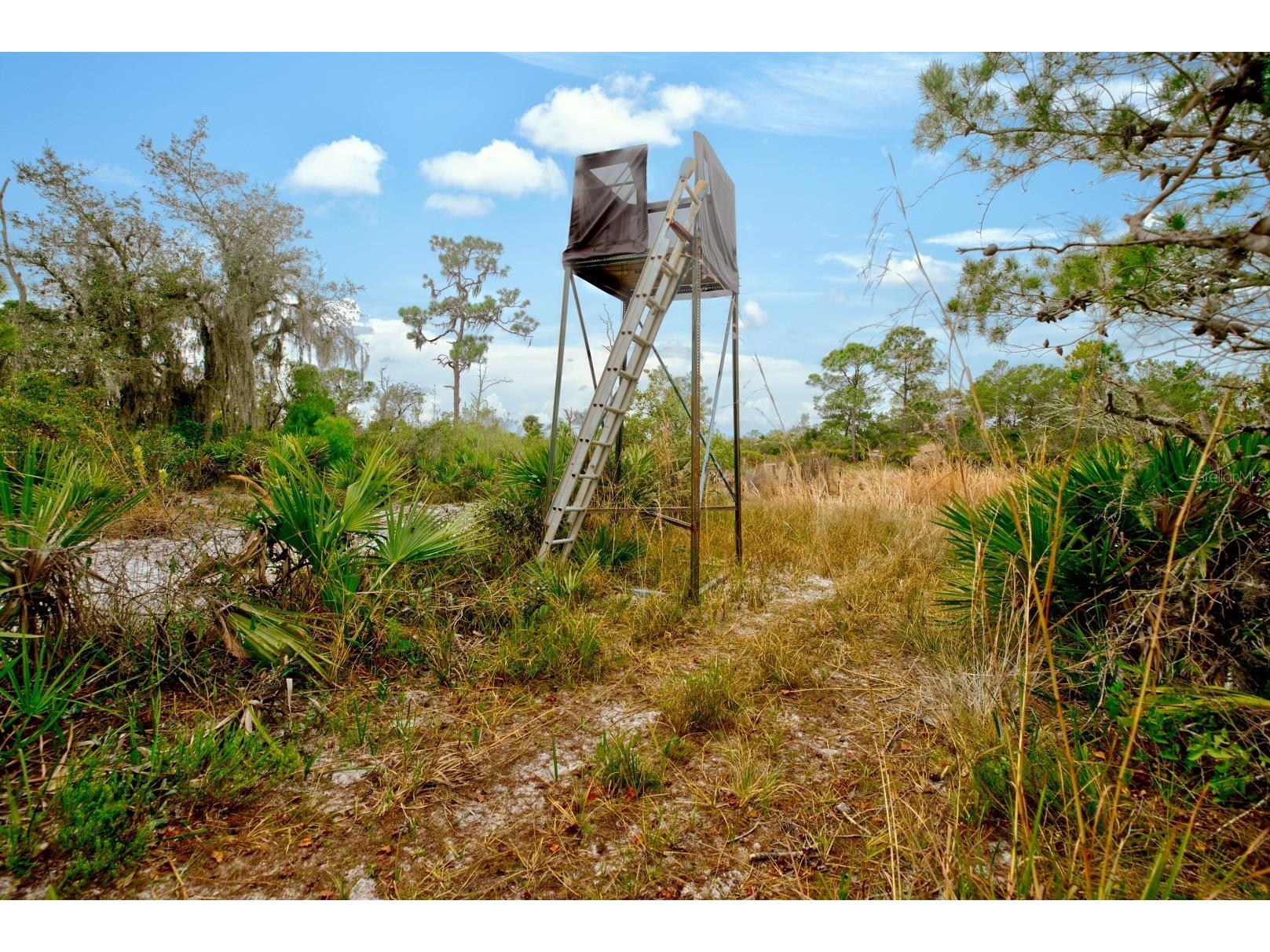 194 Leisure Lane Venus FL 33960 L4958534 image35