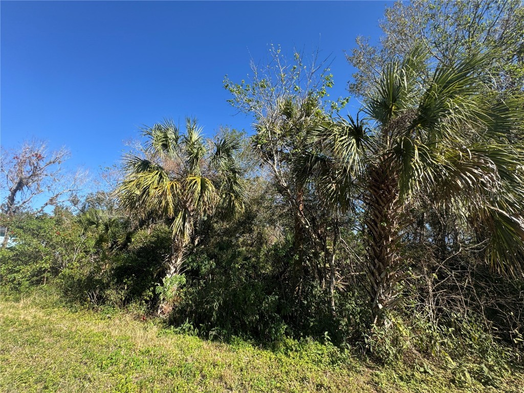 194 Ray Street Port Charlotte FL 33954 TB8338104 image2