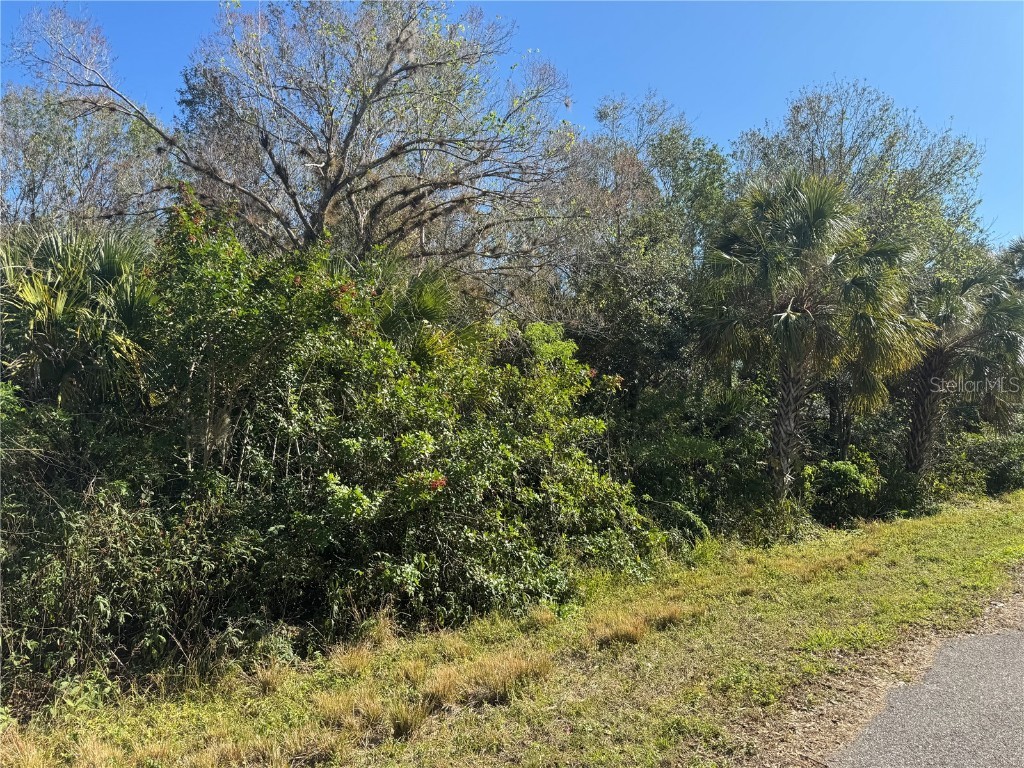 194 Ray Street Port Charlotte FL 33954 TB8338104 image3