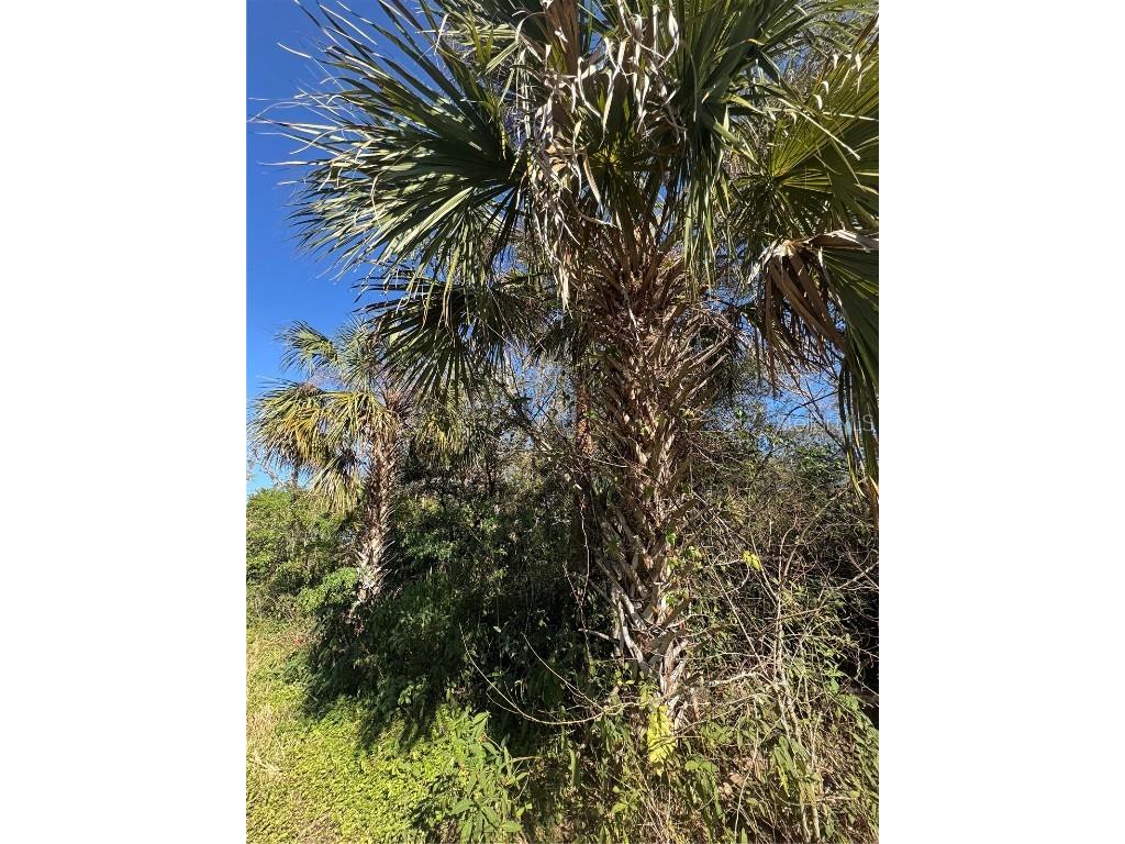 194 Ray Street Port Charlotte FL 33954 TB8338104 image4