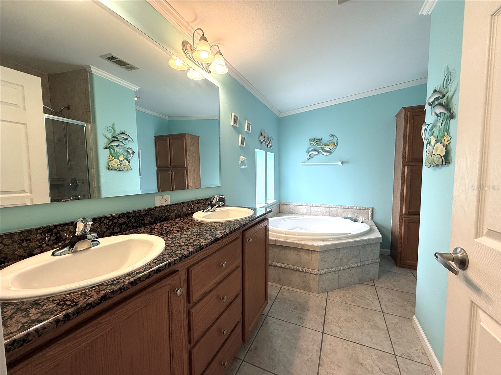 194 S Port Royal Lane Apollo Beach FL 33572 TB8507664 image15