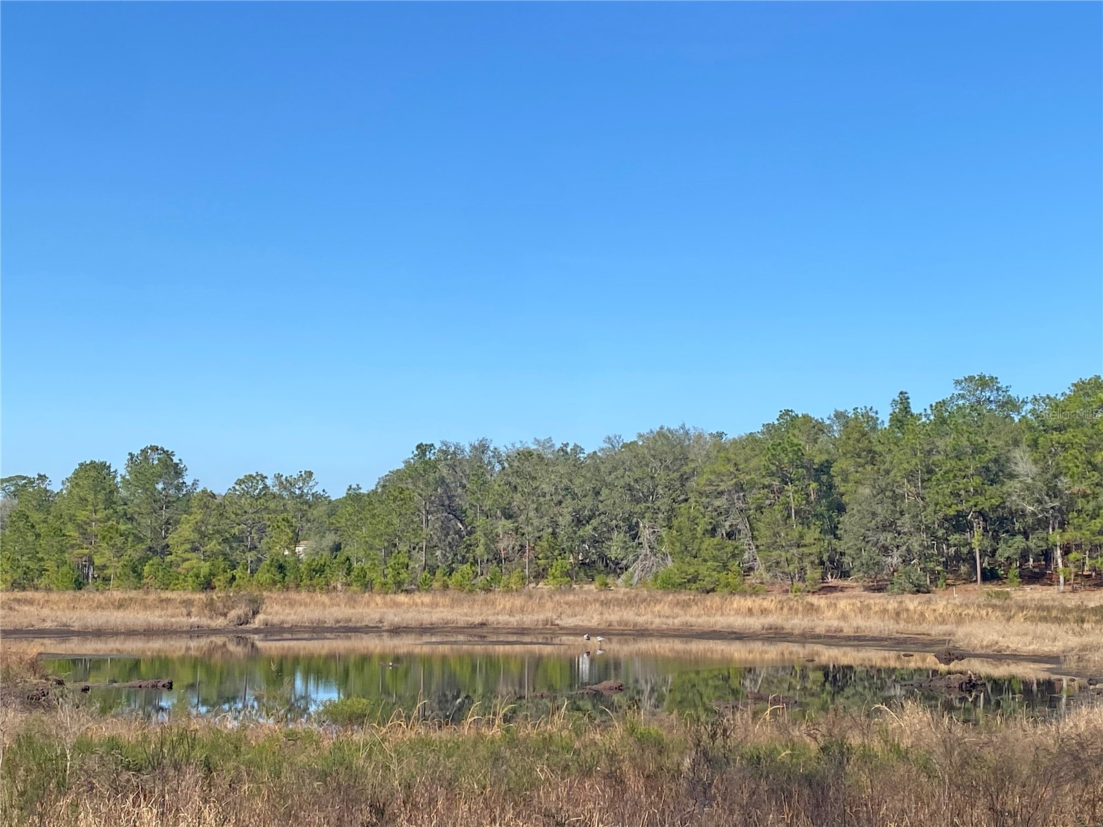 194 Whirlwind Loop Hawthorne FL 32640 - WHIRLWIND LAKE GC536275 image28