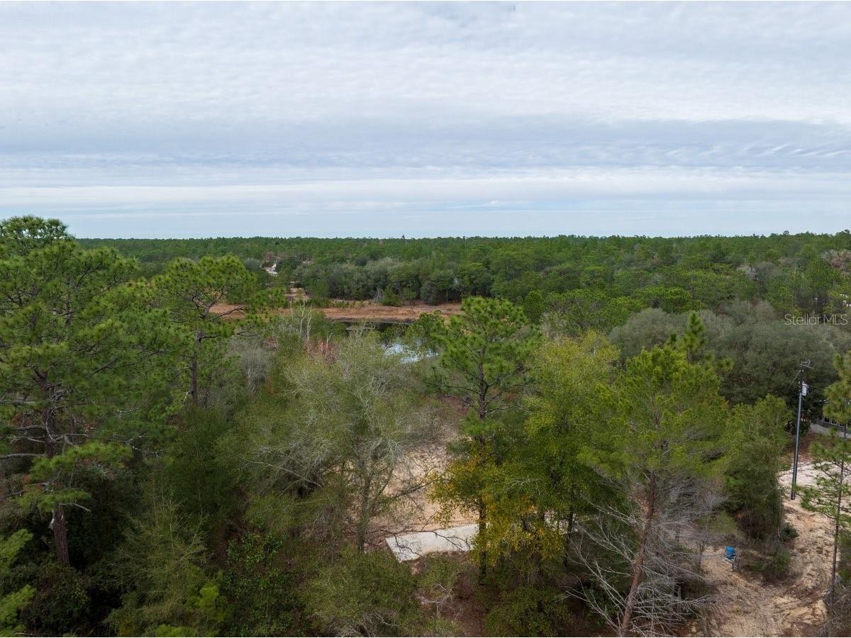 194 Whirlwind Loop Hawthorne FL 32640 - WHIRLWIND LAKE GC536275 image34