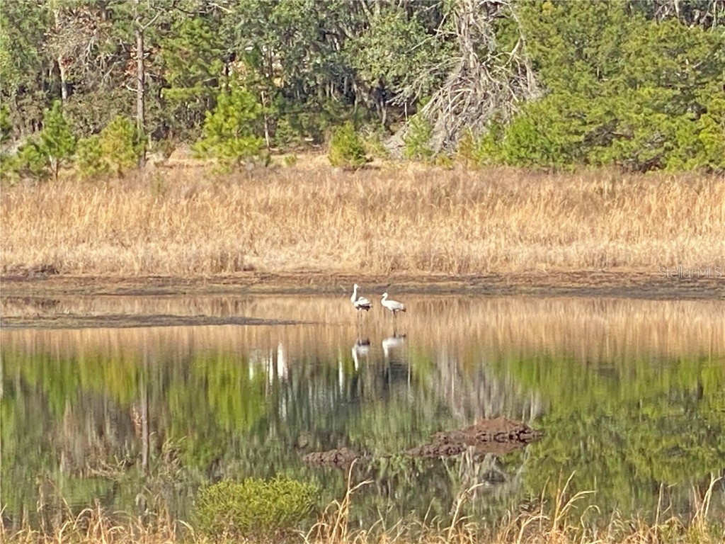 194 Whirlwind Loop Hawthorne FL 32640 - WHIRLWIND LAKE GC536275 image42