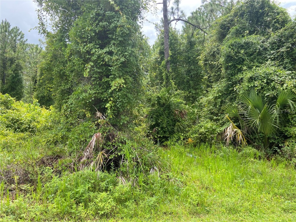 1940 Calle Huescha Deland FL 32724 V4936976 image1